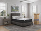 Sealy Ever-Brite Plush Mattress